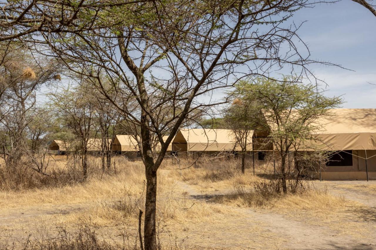 Africa Safari South Serengeti Ndutu Ngorongoro Sinoni Ngoại thất bức ảnh