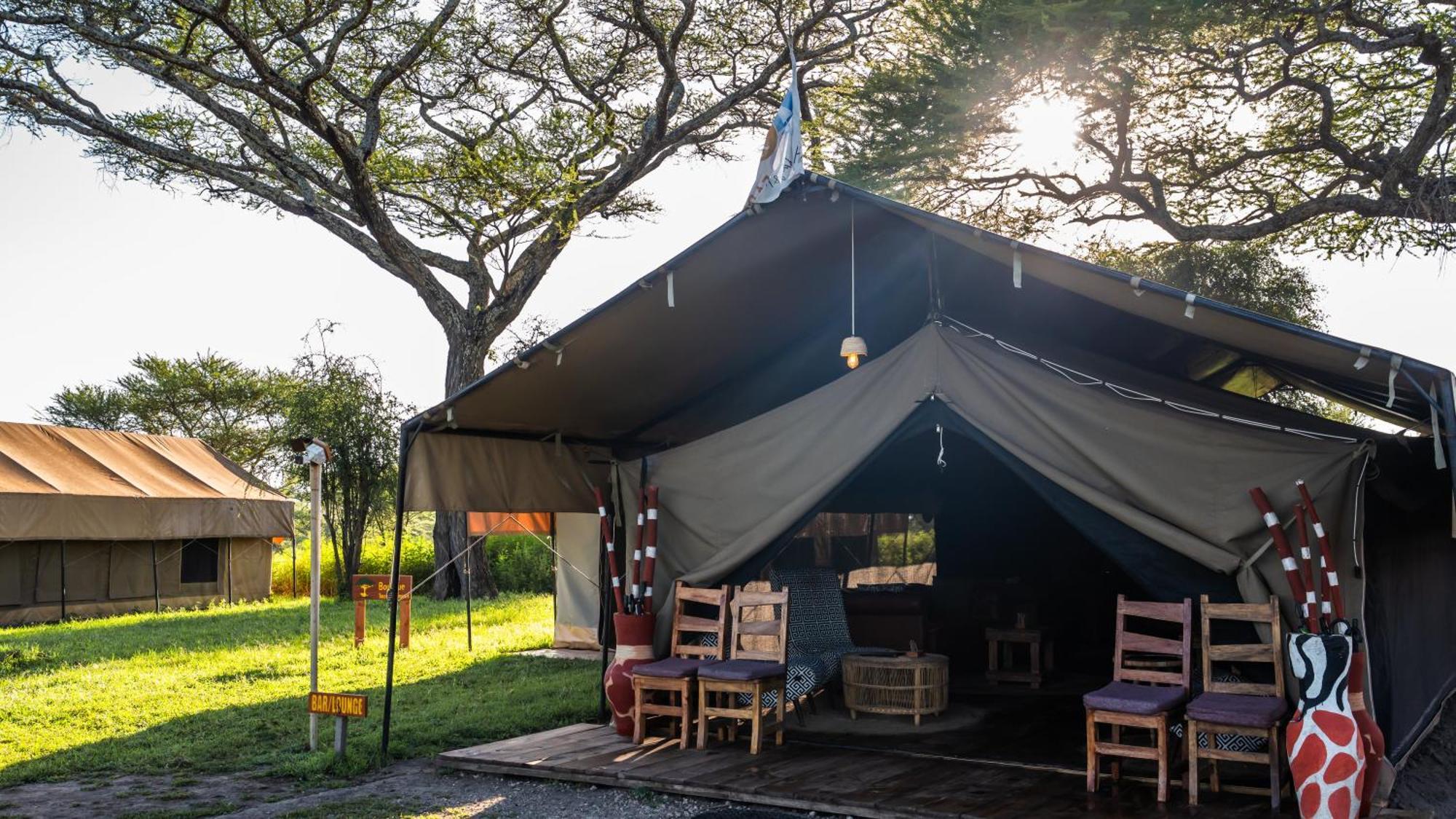Africa Safari South Serengeti Ndutu Ngorongoro Sinoni Ngoại thất bức ảnh
