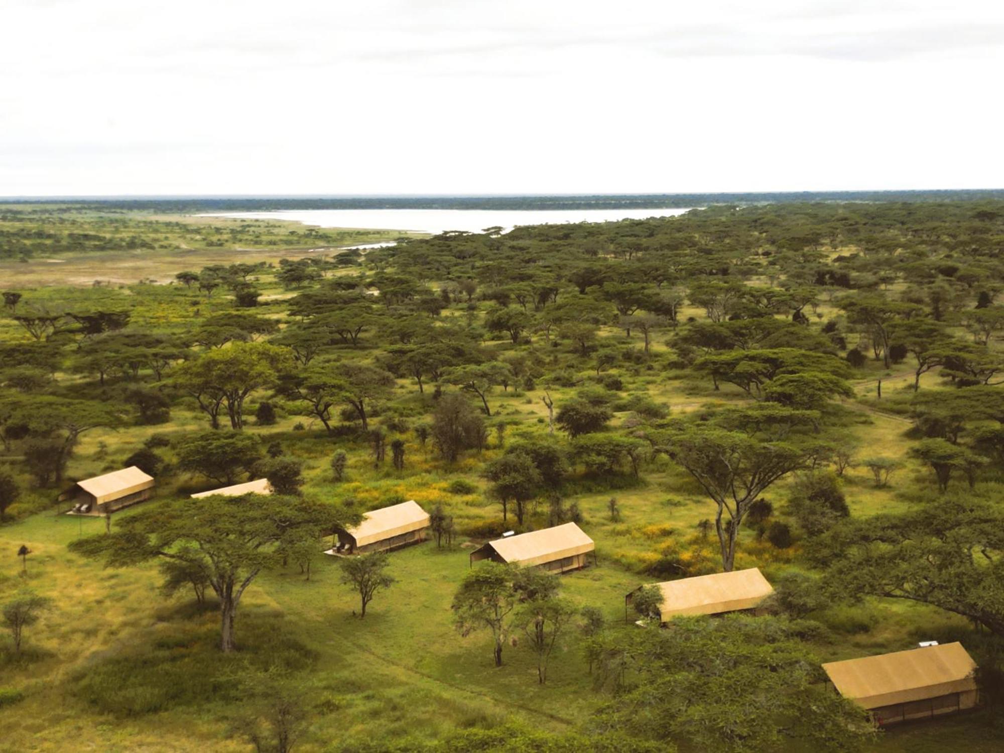 Africa Safari South Serengeti Ndutu Ngorongoro Sinoni Ngoại thất bức ảnh